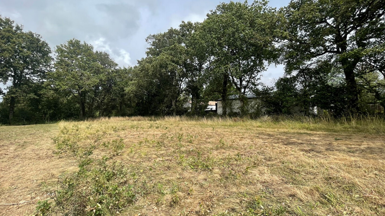 Terrain constructible de 1333m2 à Saint-Maixent-sur-Vie