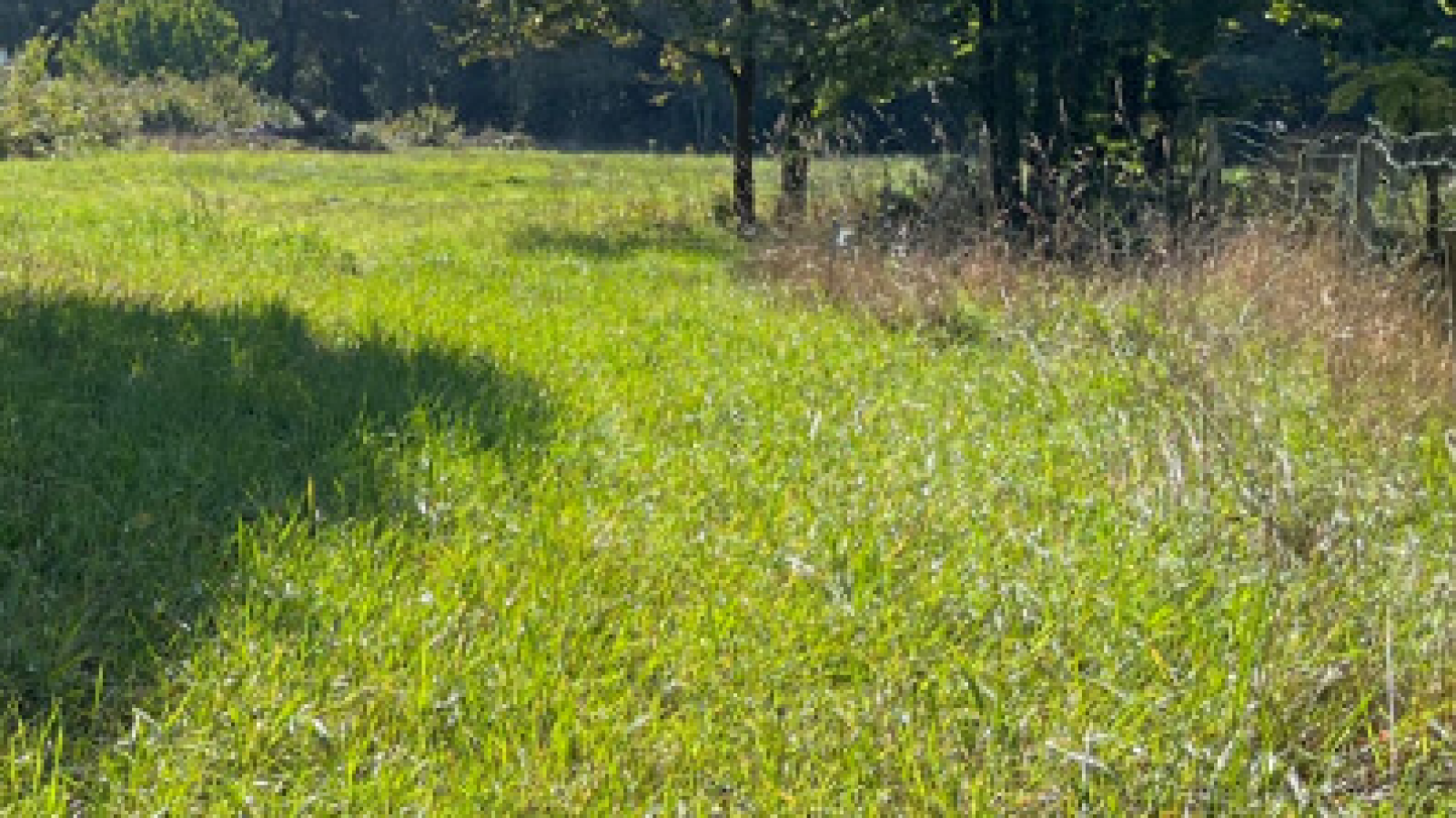 Terrain constructible de 373m2 à Saint-Urbain